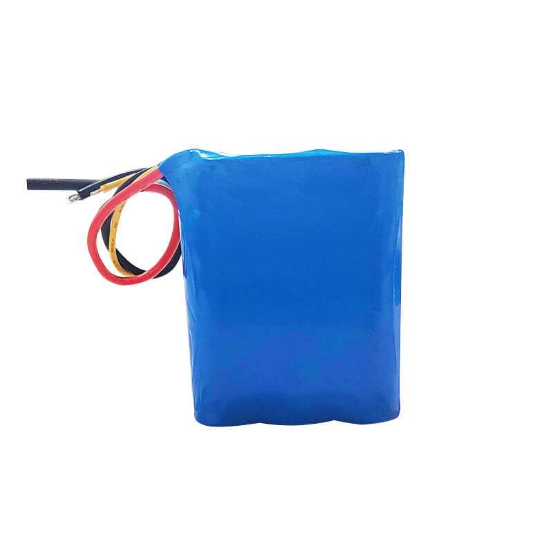 Wholesale CSIT rechargeable NCM 3.6V 9200mAh lithium ion battery pack for portable speaker